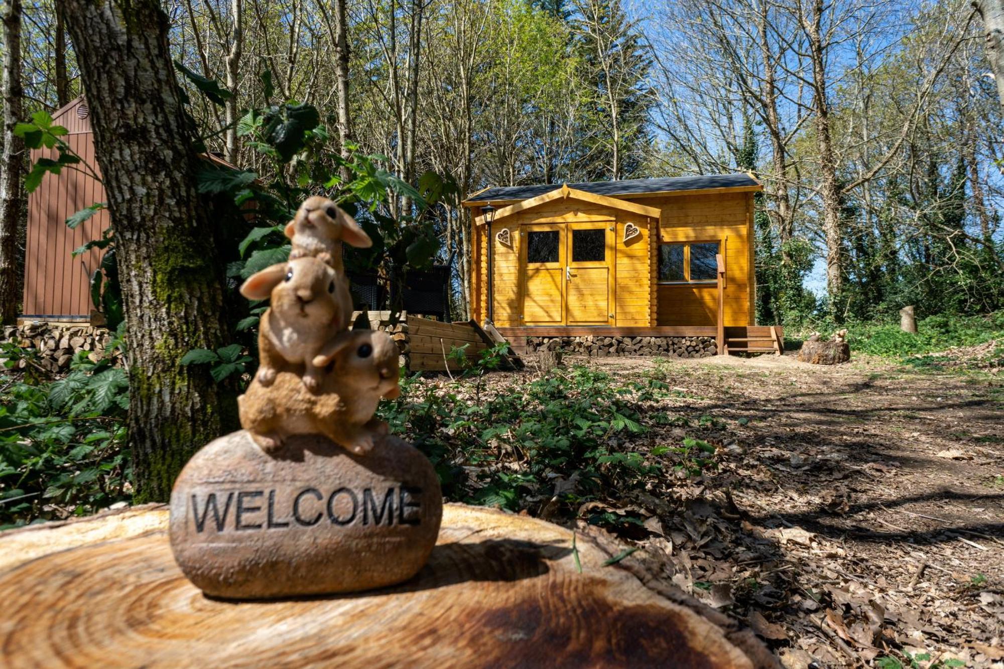 Cabane Insolite Avec Escape Game Saint-Évarzec Eksteriør bilde